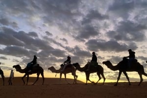 Marrakech: quadrijden en kameelrijden, dinershow in de Agafay-woestijn