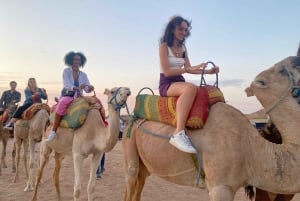 Marrakech: quadrijden en kameelrijden, dinershow in de Agafay-woestijn
