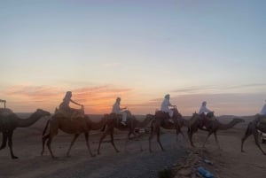 Marrakech: quadrijden en kameelrijden, dinershow in de Agafay-woestijn