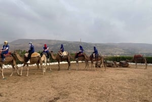 Marrakech: quadrijden en kameelrijden, dinershow in de Agafay-woestijn