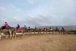 Marrakech: quadrijden en kameelrijden, dinershow in de Agafay-woestijn