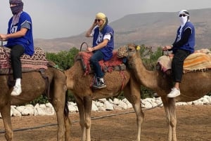 Marrakech: quadrijden en kameelrijden, dinershow in de Agafay-woestijn