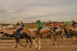 Marrakech: quadrijden en kameelrijden, dinershow in de Agafay-woestijn