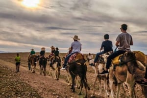 Marrakech: quadrijden en kameelrijden, dinershow in de Agafay-woestijn
