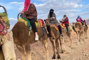 Agafay: Halvdagstur med firhjuling og kamel i steinørkenen med lunsj