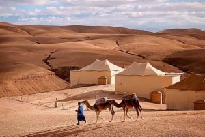 Agafay: Półdniowa przejażdżka quadem po pustyni i na wielbłądzie z lunchem