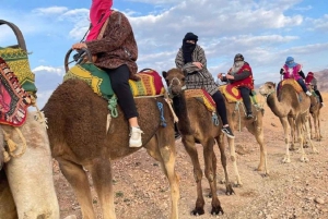 Agafay: Medio día en quad por el desierto rocoso y paseo en camello con almuerzo