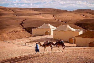 Agafay: Medio día en quad por el desierto rocoso y paseo en camello con almuerzo
