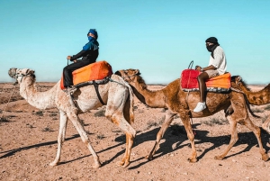 Marrakech: Agafay Desert Camel Ride, Dinner, Pool & Quad