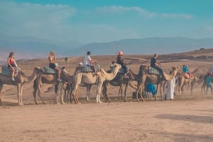 Marrakech: Agafay Desert Camel Ride, Dinner, Pool & Quad