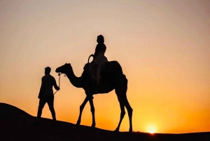 Agafay: Quad, cena autentica e spettacolo da Marrakech