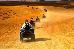 Agafay Tour: Sunset, Dinner, Camel ride, Quad and fire show