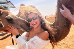 Agafay Tour: Sunset, Dinner, Camel ride, Quad and fire show