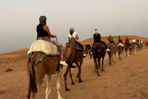 Agafay Tour: Sunset, Dinner, Camel ride, Quad and fire show
