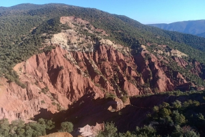 Ait Benhaddou and Telouet Kasbahs: Day Trip from Marrakech