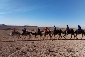 Marrakech: Agafay desert Quad Bike, Camel Ride & Dinner Show