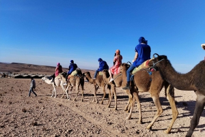 Marrakech: Agafay desert Quad Bike, Camel Ride & Dinner Show