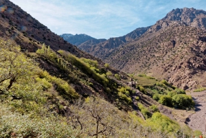 Marrakesch: Kamelritt in der Agafay-Wüste, Pool, Abendessen, Feuershow