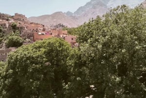 Marrakesch: Kamelritt in der Agafay-Wüste, Pool, Abendessen, Feuershow
