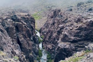 Marrakesch: Kamelritt in der Agafay-Wüste, Pool, Abendessen, Feuershow