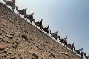 Anima Garden And Camel ride Half Day Tour From Marrakech