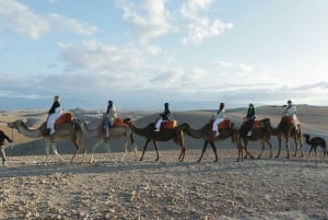 Marrakech : Aventure dans l'Atlas, randonnée, balade à dos de chameau, désert et déjeuner