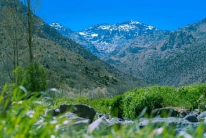 Marrakech : Aventure dans l'Atlas, randonnée, balade à dos de chameau, désert et déjeuner
