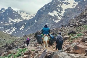 Atlas Mountain & Agafay: przygoda na quadach i przejażdżka na wielbłądzie