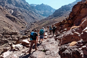 Atlas Mountain day trek from Marrakech with Transport, lunch