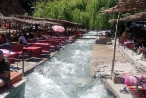 Marrakech : Excursion d'une journée dans la vallée de l'Ourika et les cascades avec guide