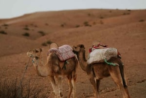 Marrakech: Atlas Mountain, Berber Villages, & Valleys Tour