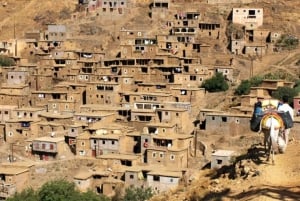 Excursion d'une journée dans les montagnes de l'Atlas, les chutes d'eau des trois vallées et le désert