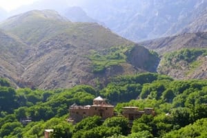 Excursion d'une journée dans les montagnes de l'Atlas, les chutes d'eau des trois vallées et le désert