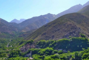 Excursion d'une journée dans les montagnes de l'Atlas, les chutes d'eau des trois vallées et le désert