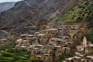 Excursion d'une journée dans les montagnes de l'Atlas, les chutes d'eau des trois vallées et le désert