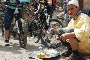 Excursion d'une journée dans les montagnes de l'Atlas, les chutes d'eau des trois vallées et le désert