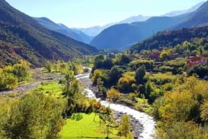 Excursion d'une journée dans les montagnes de l'Atlas, les chutes d'eau des trois vallées et le désert