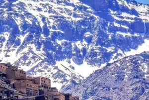 Excursion d'une journée dans les montagnes de l'Atlas, les chutes d'eau des trois vallées et le désert
