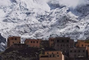 Excursion d'une journée dans les montagnes de l'Atlas, les chutes d'eau des trois vallées et le désert