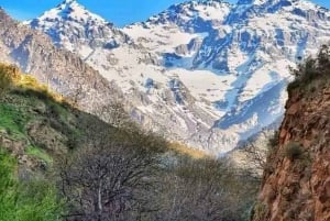 Excursion d'une journée dans les montagnes de l'Atlas, les chutes d'eau des trois vallées et le désert