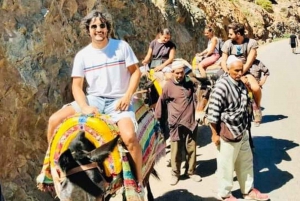 Excursion d'une journée dans les montagnes de l'Atlas, les chutes d'eau des trois vallées et le désert