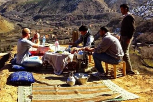Excursion d'une journée dans les montagnes de l'Atlas, les chutes d'eau des trois vallées et le désert
