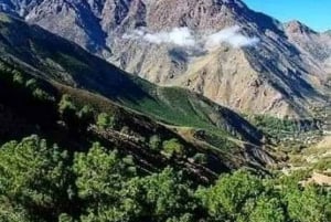 Excursion d'une journée dans les montagnes de l'Atlas, les chutes d'eau des trois vallées et le désert