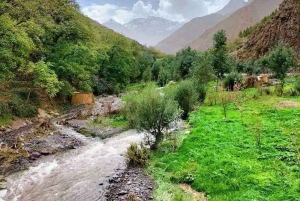 Excursion d'une journée dans les montagnes de l'Atlas, les chutes d'eau des trois vallées et le désert