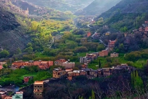 Atlas Mountains and 3 Valleys & Waterfalls & Desert Agafay