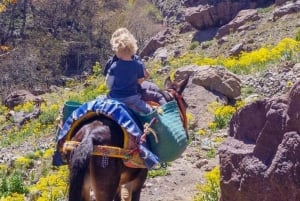 Marrakech : randonnée dans les montagnes et les vallées de l'Atlas avec déjeuner
