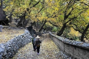 Marrakech : randonnée dans les montagnes et les vallées de l'Atlas avec déjeuner