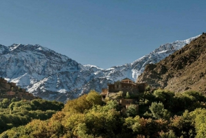 Marrakech : randonnée dans les montagnes et les vallées de l'Atlas avec déjeuner