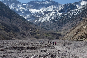 Atlas Mountains and 4 Valleys Day Trip
