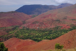 Atlas Mountains and 4 Valleys Day Trip